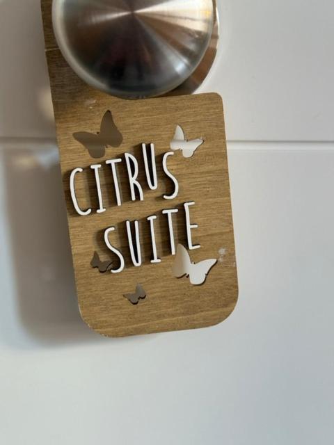 Citrus Suite By Alhaurin Loft City Center Alhaurin de la Torre Ngoại thất bức ảnh