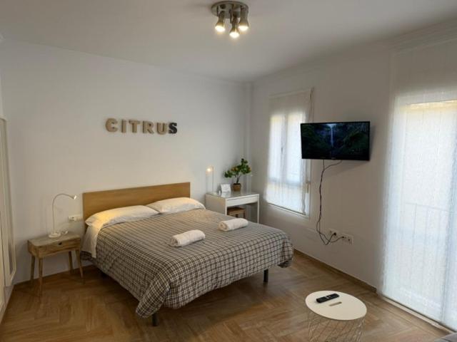 Citrus Suite By Alhaurin Loft City Center Alhaurin de la Torre Ngoại thất bức ảnh